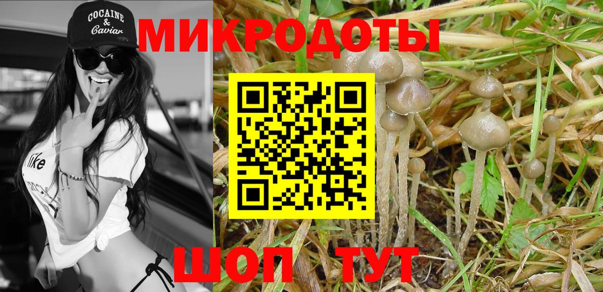 Псилоцибиновые грибы MAGIC MUSHROOMS Владикавказ