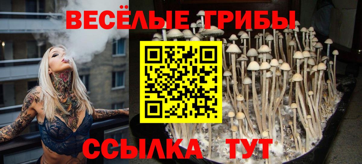Галлюциногенные грибы MAGIC MUSHROOMS  Псилоцибиновые грибы Cubensis  Владикавказ  Вход с VPN 